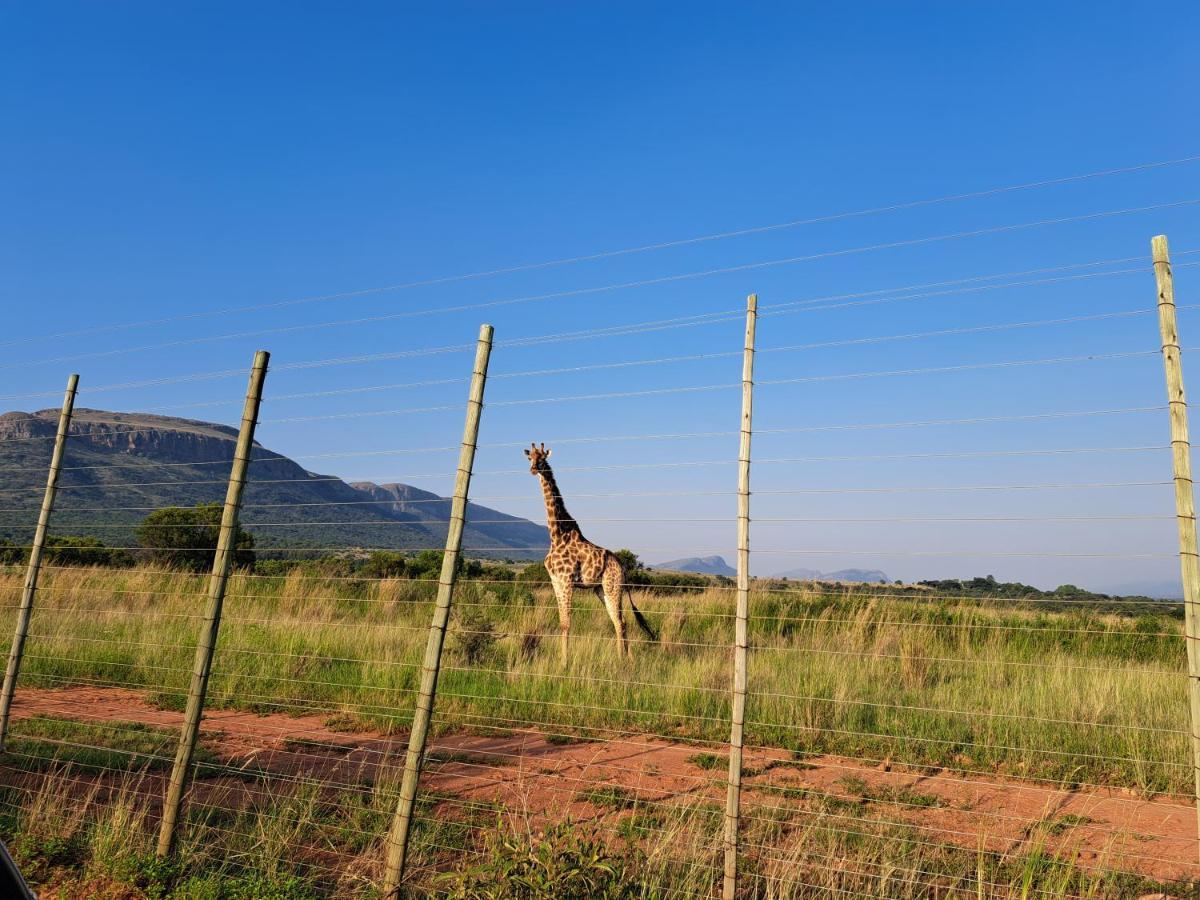 Remhoogte Mountain Lodge Jacksonstuin エクステリア 写真