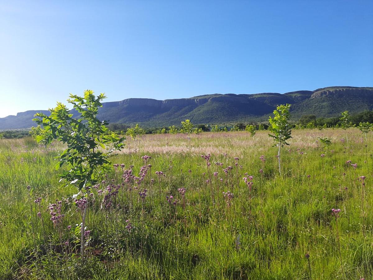 Remhoogte Mountain Lodge Jacksonstuin エクステリア 写真